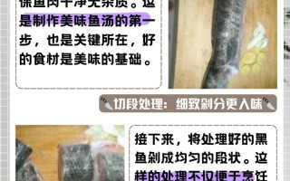 黑鱼的家常做法视频 黑鱼的做法家常做法