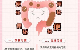 【深度解析】什么是便秘？成因、症状与解决方法全解析