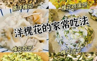 冷冻洋槐花的吃法大全 槐花能吃吗怎么吃法