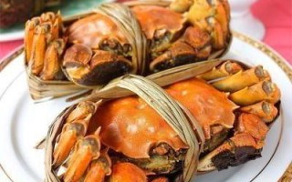 简单美食：轻松上手的美味佳肴
