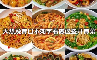 夏季菜谱家常菜做法大全 适合夏天吃的家常菜谱大全做法