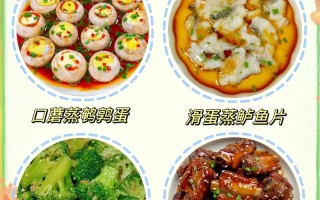 宝宝餐食谱大全及做法详解：打造健康美食之旅