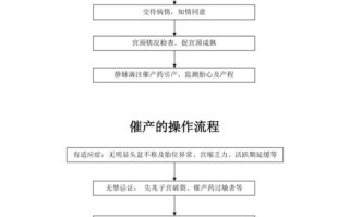 引产手术过程详解：步骤、注意事项与后期护理