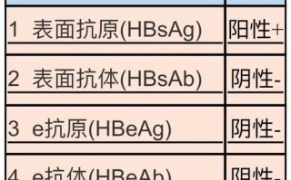 “深入了解乙肝五项对照表：从核心指标到健康护航”