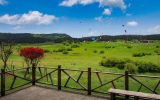 重庆旅行团三日游 云南当地旅游团报价6日游