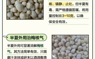 莓茶的作用和功效 石斛的作用与功能主治