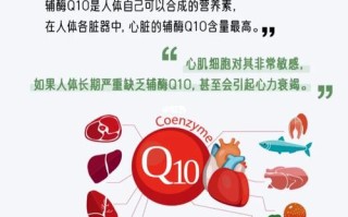 辅酶Q10的正确吃法指南