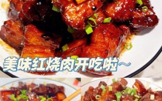 腐乳红烧肉的家常做法大全 红烧肉的家常做法视频教程全集