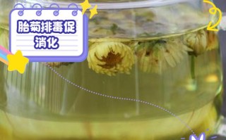 胎菊泡水喝竟有6个害处 雪胎菊泡水喝的正确方法