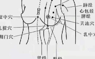 “胸部穴位：深入了解与运用”