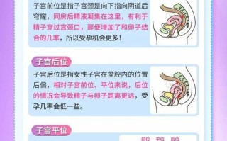 想怀孕要怎么样才容易怀孕 怎么怀孕 教程动作