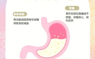 祖国需要你的胃那兔第几集 祖国需要你的胃那一集