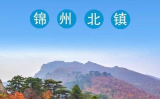 巩义市限行规定最新2023年 2023巩义恢复限行了吗