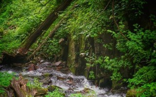 开车五常去凤凰山旅游攻略一日游最佳方案 黑龙江五常凤凰山旅游攻略三日游