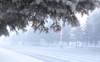 极寒天气怎么生存 寒潮天气预报