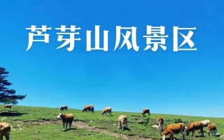 山西芦芽山风景区门票多少钱 芦芽山门票价格通票