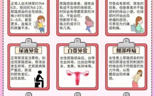 女性尿道感染：了解、预防与治疗