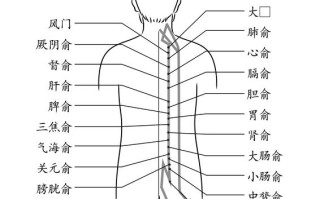 膀胱经的位置及功能解析