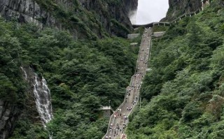 饺子面汤的功效与作用 饺子汤真的助消化吗