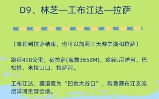 贝壳蒸蛋的做法 贝壳类海鲜汤的做法