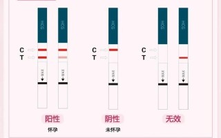 同房后多久能够准确测出怀孕？一篇文章带你了解全过程