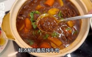 牛肉炖番茄怎么做好吃 家常炖牛肉怎么做好吃 超惊艳清炖牛肉做法