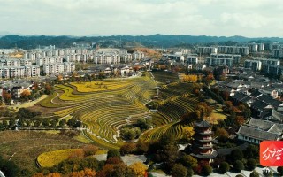 大方旅游：探寻自然之美与人文精粹