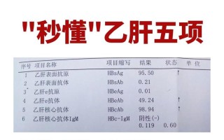 『深入理解乙肝五项指标：探究乙肝病毒标志物及其意义』