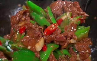 生牛肉做法大全：烹饪技巧与美味呈现