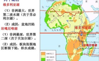 酸甜爽口的白萝卜泡菜 白萝卜泡菜配方