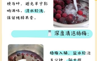 杨梅酒的制作方法一斤杨梅多少酒 葡萄酒制作方法及步骤和发酵过程