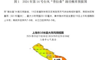 崇明天气预报40天 崇明天气预报