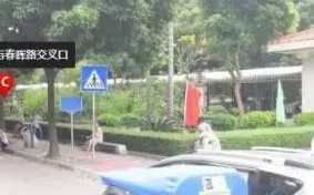 【全城限行通知：详细解读限行措施与应对方案】