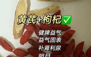 黄芪泡水喝：功效与作用详解