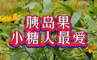 胰岛果：揭秘神秘的天然保健奇果