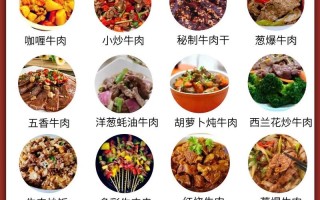 100种肉菜菜谱大全图片 免费菜谱大全100种