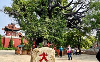 上海市区外牌限行几点到几点 北京几点到几点限行外地车