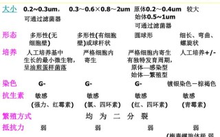 衣原体和支原体是什么病 解脲支原体3年了还有救吗