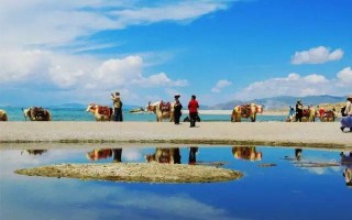 青岛与青海：两地之间的地理之谜与知识解读