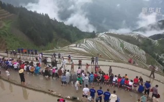 龙脑香木地板怎么样 龙脑香地板