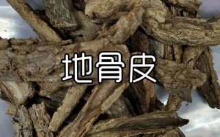 中药材地骨皮的作用和功效 中药地骨皮的功效与主治