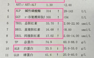 肝功能异常谷丙转氨酶偏高怎么办 肝功能异常怎么调理才能恢复正常