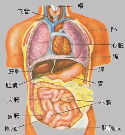 北京南三环二手房小户型出售 北京三环内二手房-第2张图片-其人生活百科