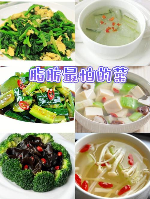 怎样养胃护胃该吃哪些食物 哪些食物是养胃的-第1张图片-其人生活百科