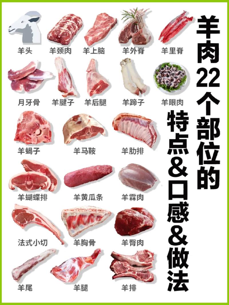 羊肉汤的做法及配料 红焖羊肉正宗的做法-第2张图片-其人生活百科