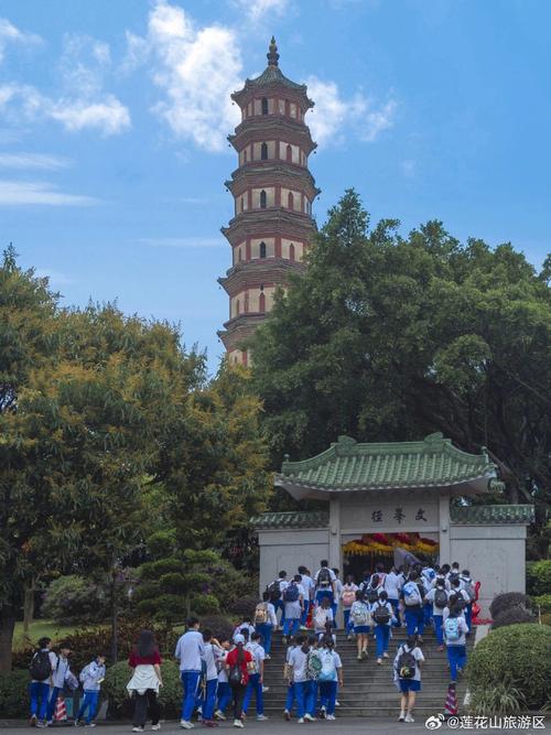 银耳羹怎么做 银耳汤的正确做法视频-第1张图片-其人生活百科