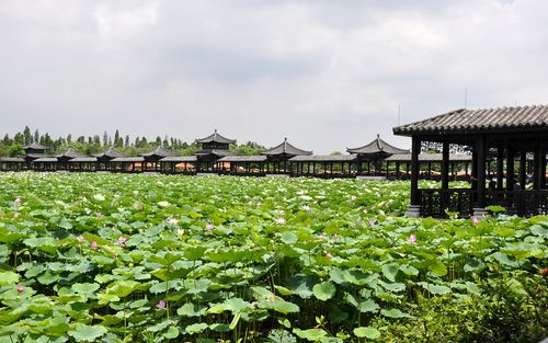 兰州旅游必去十大景点推荐 兰州旅游必去十大景点排名-第1张图片-其人生活百科