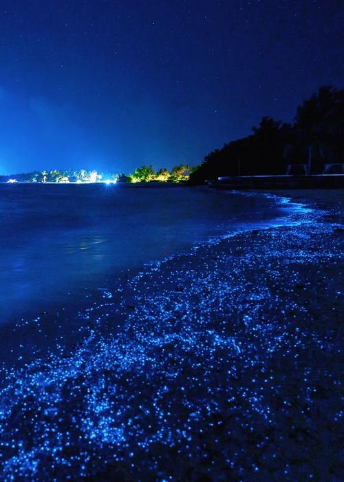 福建平潭蓝眼泪几月份有 平潭蓝眼泪海滩-第1张图片-其人生活百科