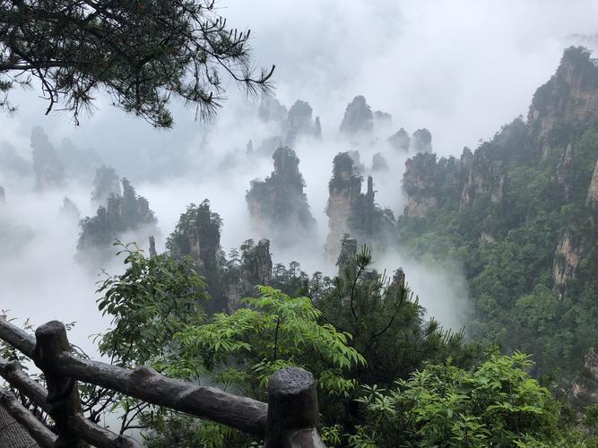 陕西地软包子馅的做法 豆腐地软包子馅的做法-第1张图片-其人生活百科