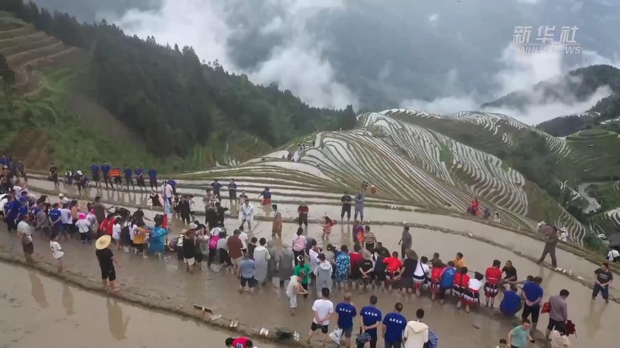 龙脑香木地板怎么样 龙脑香地板-第1张图片-其人生活百科